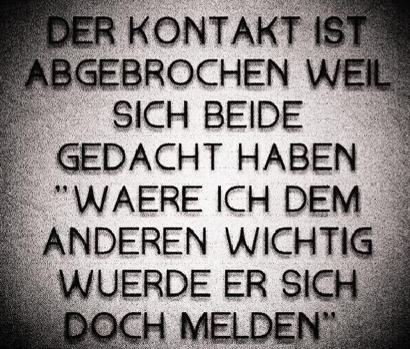 Lustige Sprüche